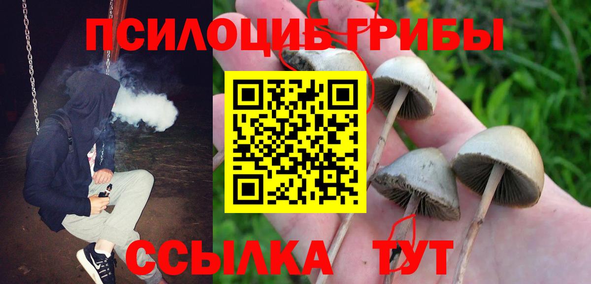 Галлюциногенные грибы Cubensis Ростов Великий