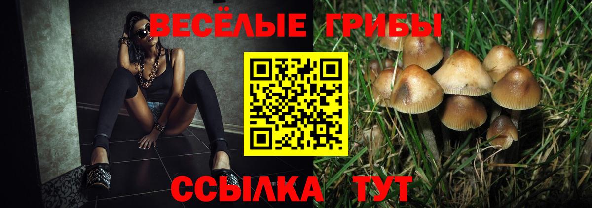 Ростов Великий  Галлюциногенные грибы ЛСД  Вход с VPN  Псилоцибиновые грибы Cubensis 